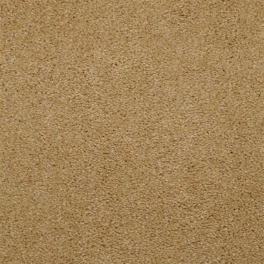 Soft & Silky in Guesthouse Carpet