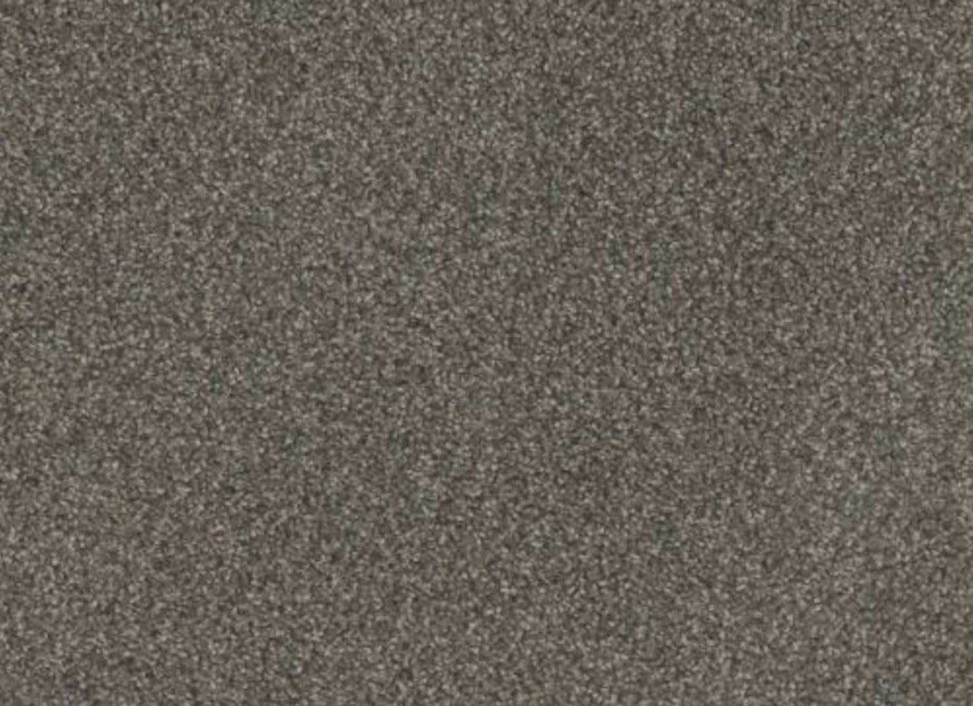 MILL CREEK II in Warm Pine Carpet