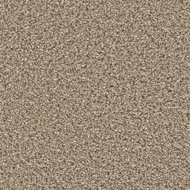 CAN'T MISS in Wicker Carpet