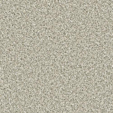 Dazzling in Seashells Carpet