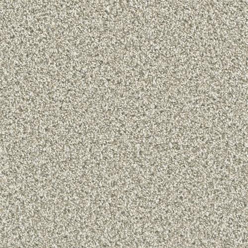 Dazzling in Seashells Carpet