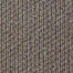 Sp887 in Ship It Carpet