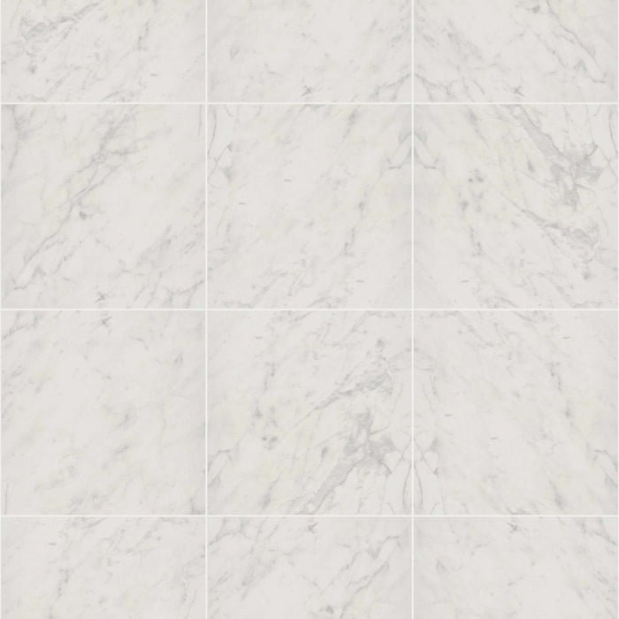 PRIME AURA 24X24 MATTE in Carrara Abisso Tile