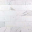 Calacatta in Calacatta 4x8 Natural Stone