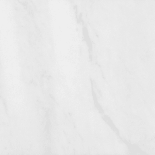 Bianco Venatino in Honed 12x12
