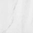 Bianco Venatino in Polished 12x12 Natural Stone