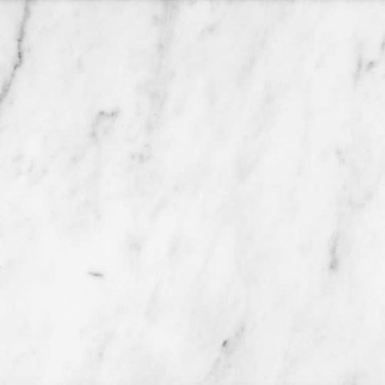 Bianco Venatino in Honed 12x24