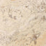 Picasso in Filled & Honed 6x6 Natural Stone