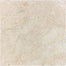 Picasso in Tumbled 12x12 Natural Stone