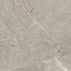 Ritz Gray in Polished 12x24 Natural Stone