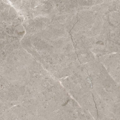 Ritz Gray in Honed 12x24 Natural Stone