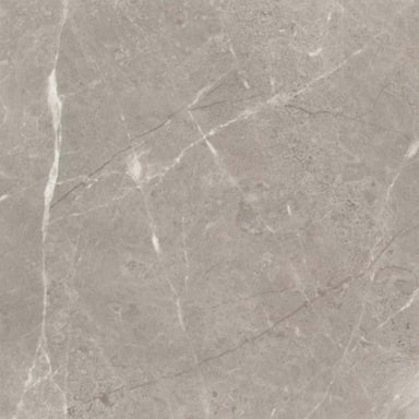 Ritz Gray in Polished 24x24 Natural Stone