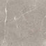 Ritz Gray in Polished 24x24 Natural Stone
