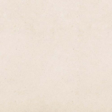 Serene Ivory in Honed 12x24 Natural Stone