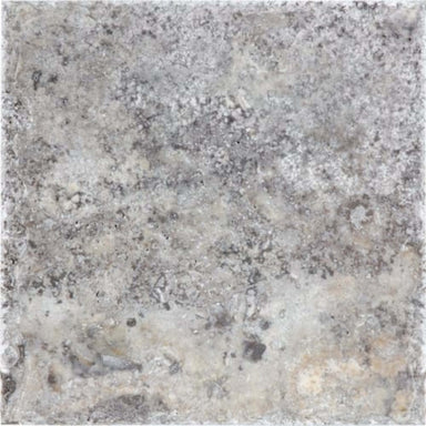 Silver Ash in Chiseled & Brushed 8x8 Natural Stone