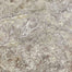 Silver Ash in Filled & Honed Crosscut 18x18 Natural Stone