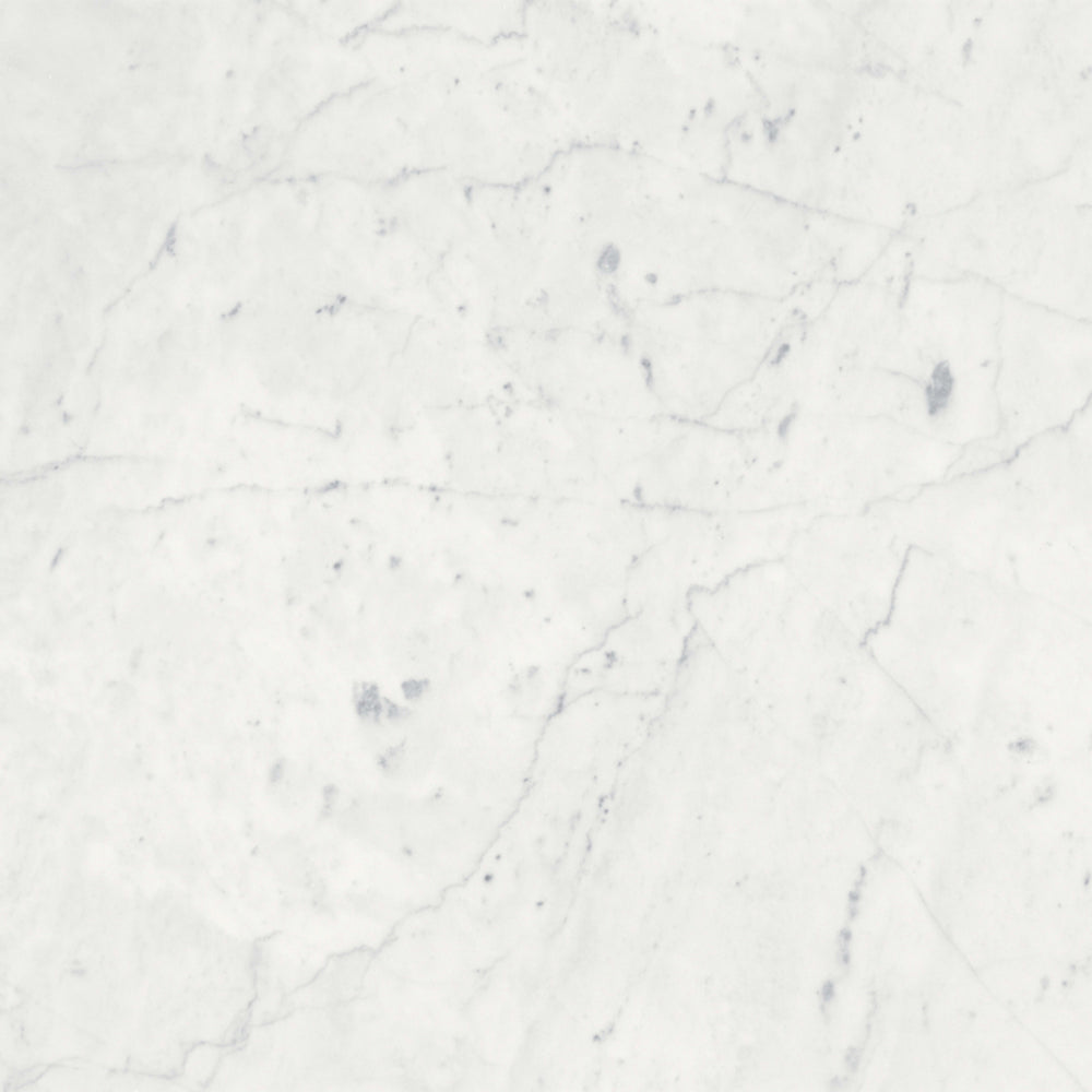 Eterna Bianco in Polished 18x36 Natural Stone