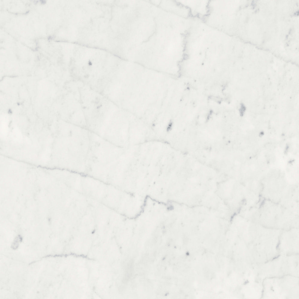 Eterna Bianco in Honed 12x24 Natural Stone