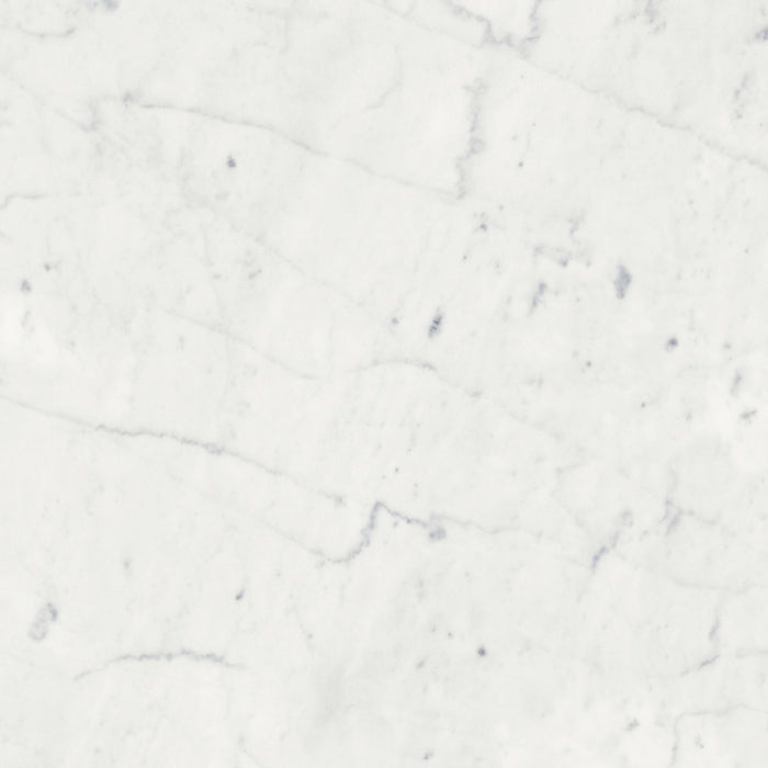 Eterna Bianco in Honed 12x24 Natural Stone