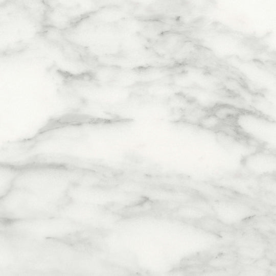 Cromo Bianco in Honed 12x24