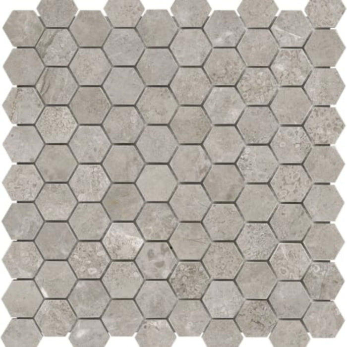 Ritz Gray in 1.25x1.25 In Hexagon Polished Natural Stone
