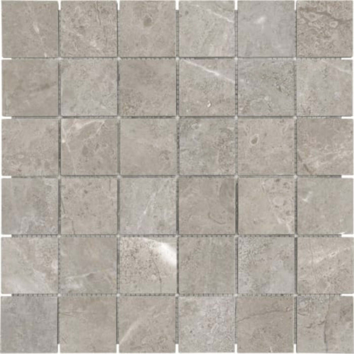 Ritz Gray in 2x2 In Polished Natural Stone
