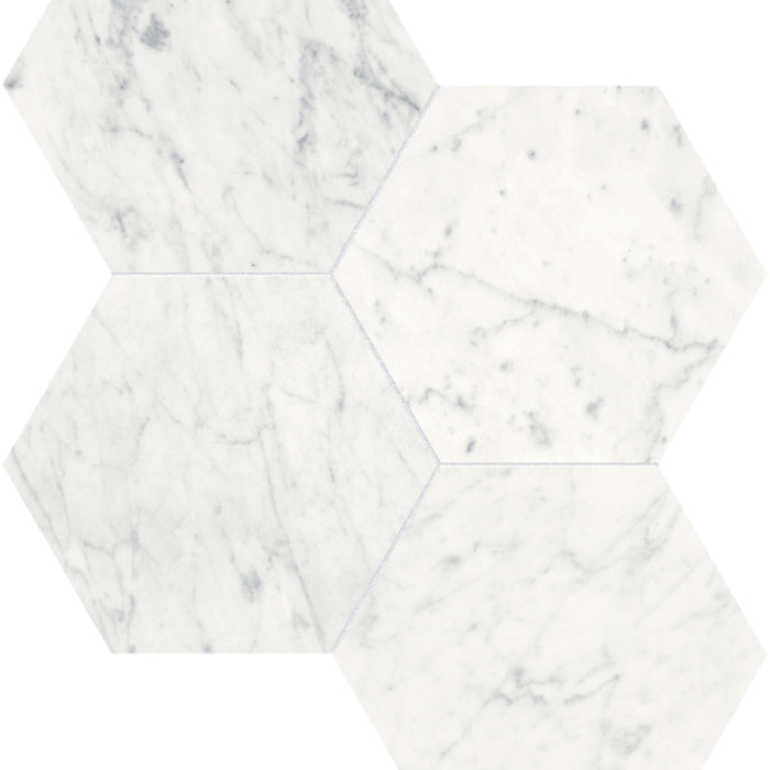 Eterna Bianco in Hexagon Mosaic 6in Polished Natural Stone