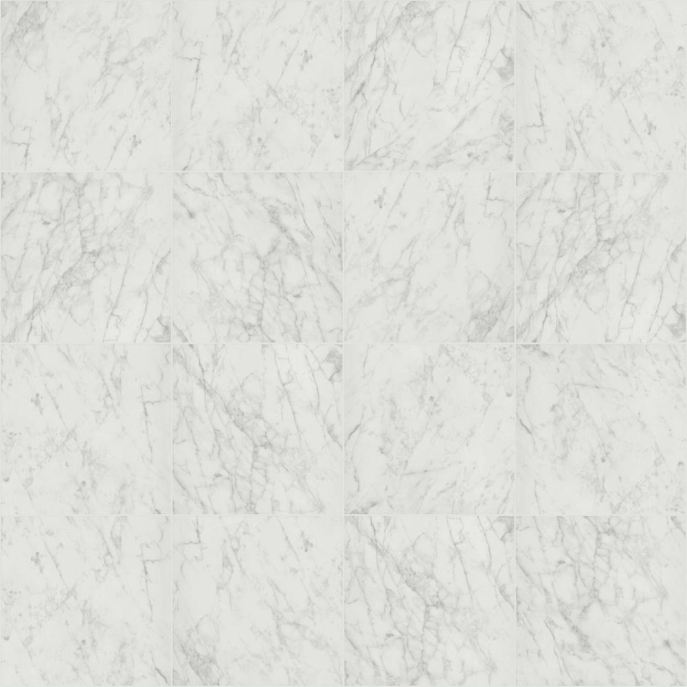 PRIME AURA 24X24 POLISHED in Carrara Abisso Tile