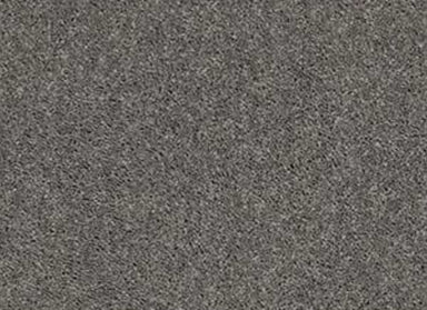 COLLINS BAY in Tree Bark Carpet