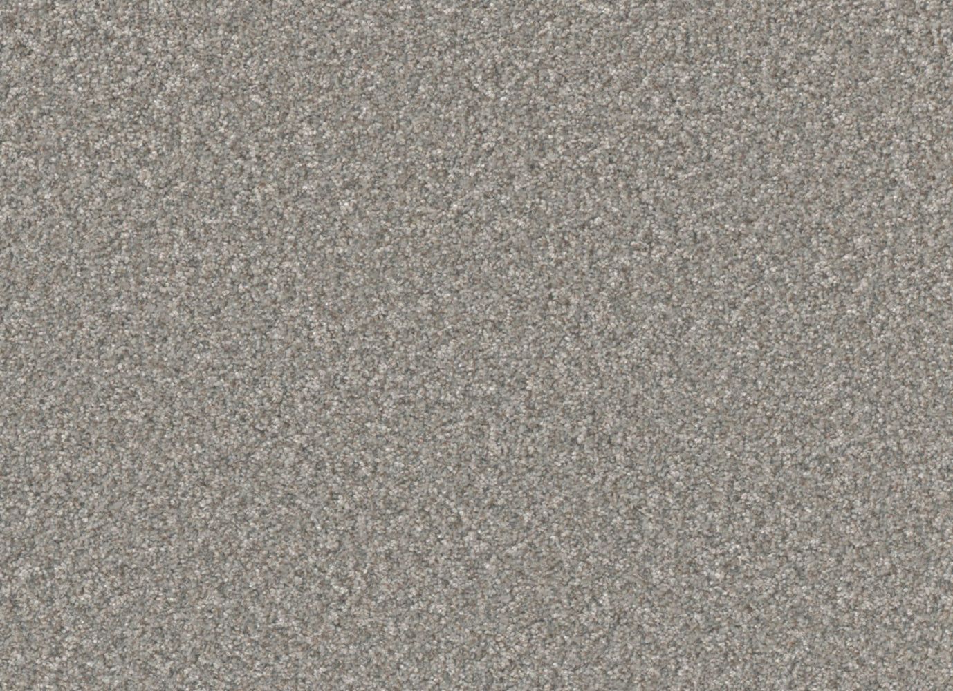 Excalibur III in Rockport Carpet