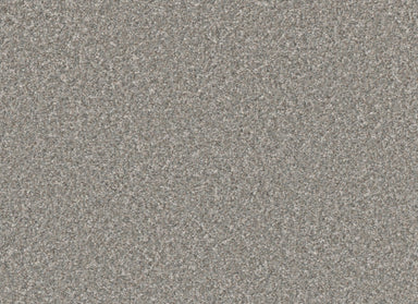 Excalibur III in Rockport Carpet