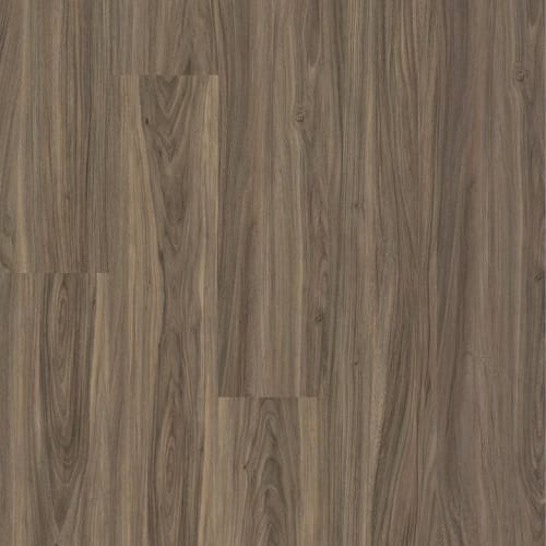 PARAMOUNT 512C PLUS in Cinnamon Walnut