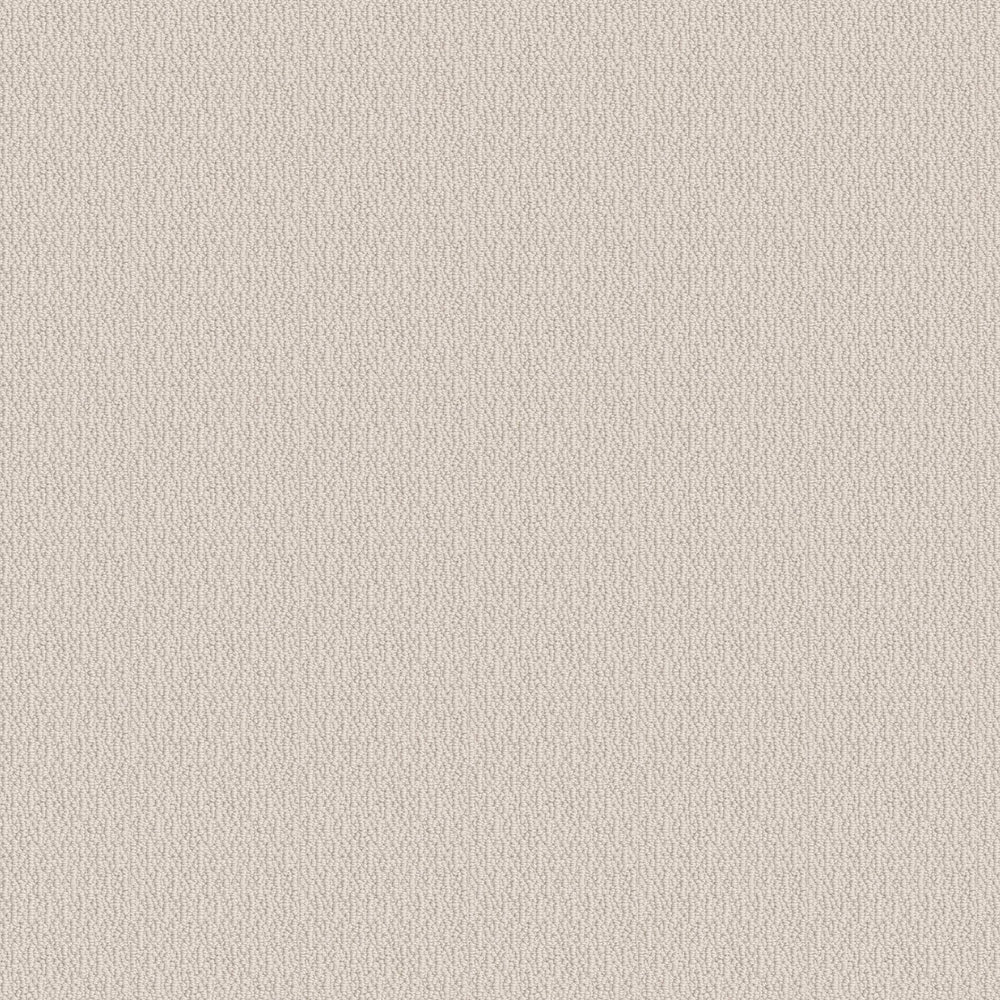 ALANDALE in Canvas Carpet