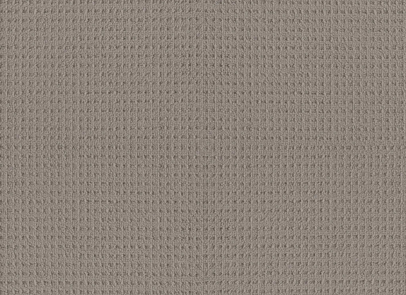 ELITE APPEAL in Industrial Carpet