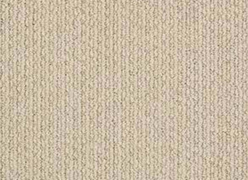 Chic Cream