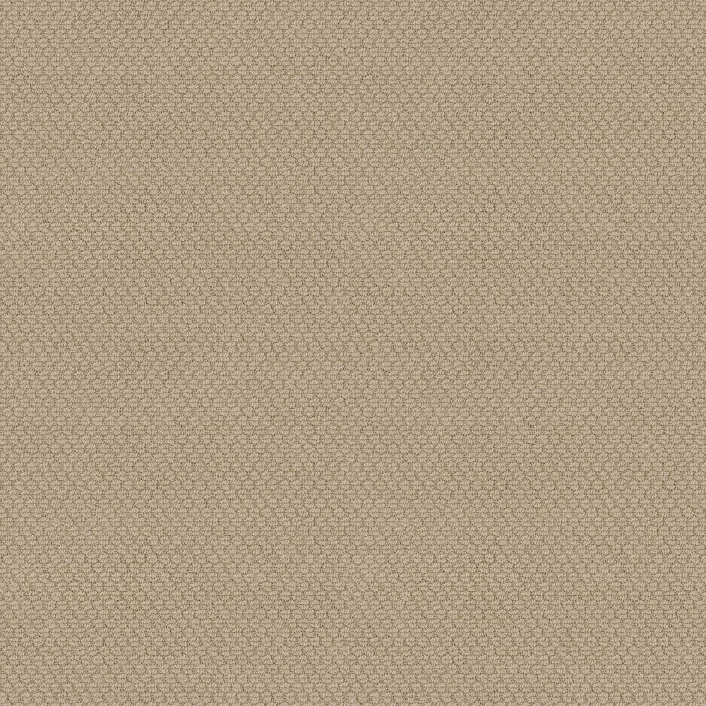 ALGER HILLS in Glowing Carpet