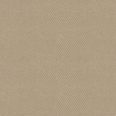 ALGER HILLS in Glowing Carpet