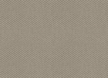 Cement