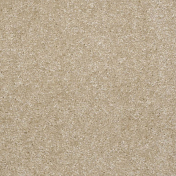 Saw Dust
