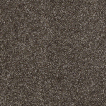 Kodiak Brown
