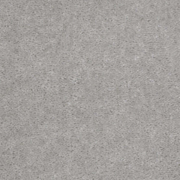 Seagull