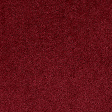 Wild Cranberry