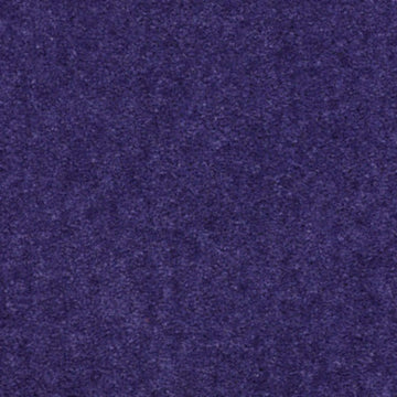 Purple Reign