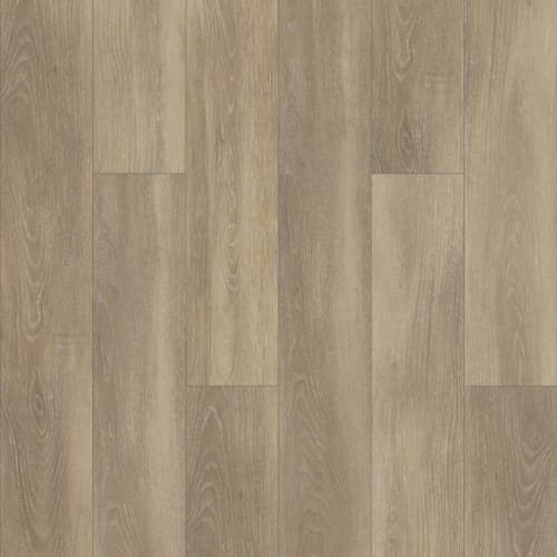 SABINE HILL PLUS in Vieste