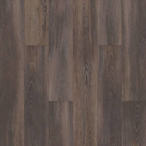 SABINE HILL PLUS in Cacao