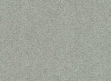 Clear Skies I in Pinetop Carpet