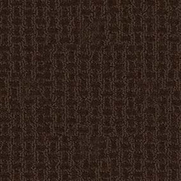 Mocha Chip