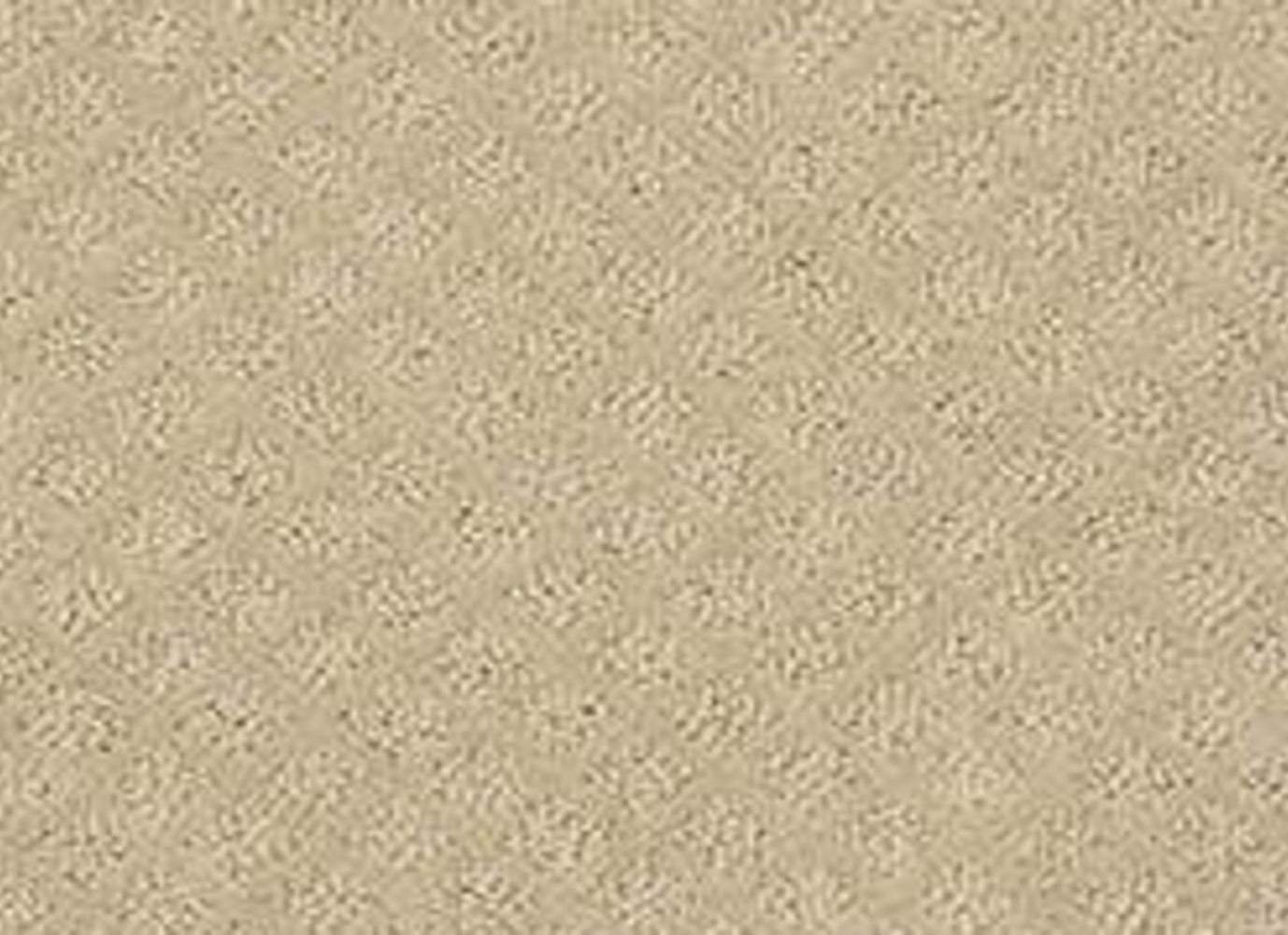 Modern Charm in Frost Carpet