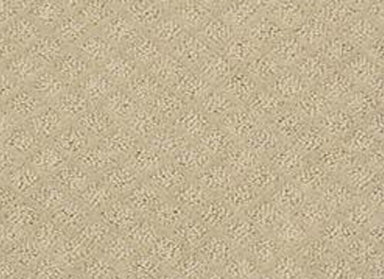 Modern Charm in Frost Carpet