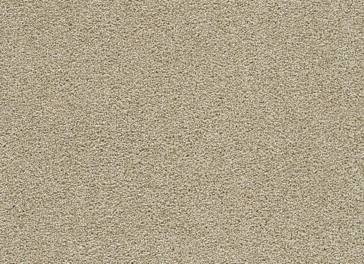 Clear Skies II in Cream Carpet